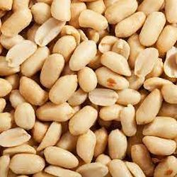 Blanched Peanuts