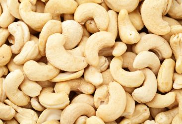 Cashew Kernel