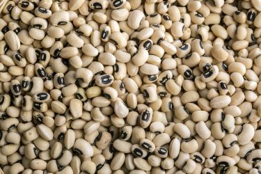 CowPeas