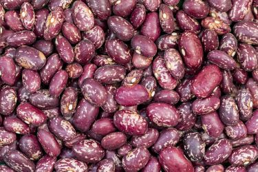 Kidney Beans