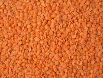 Red Lentils/ Massor Dal