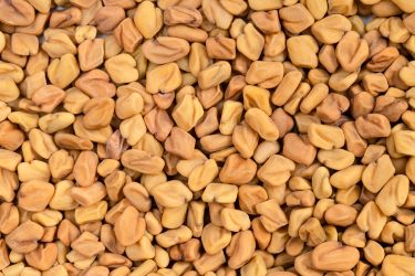 Fenugreek Seeds