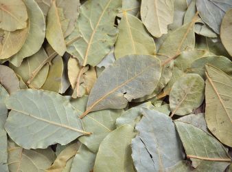 Tej Patta(Bay Leaves)